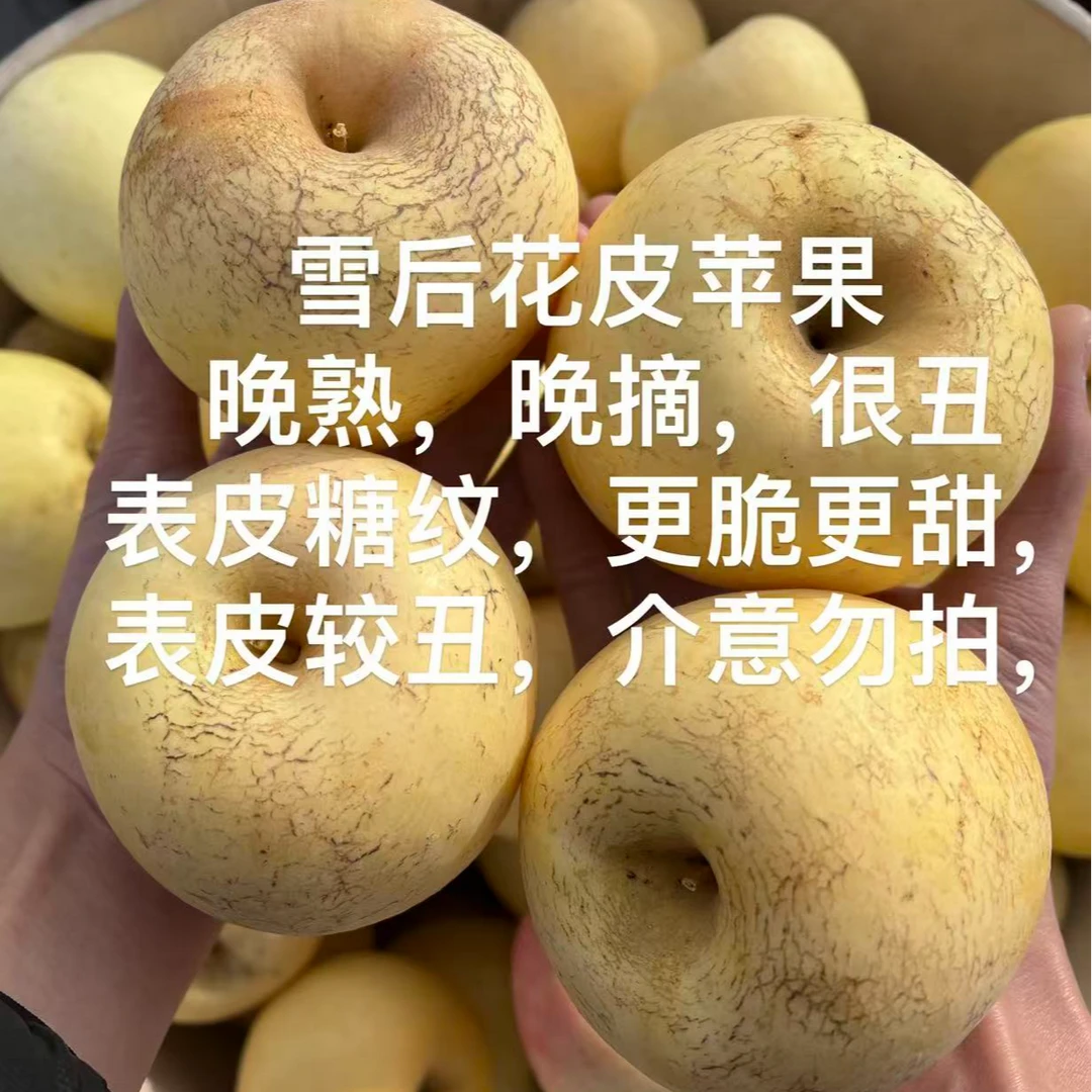 【雪后花皮苹果】2025正宗奶油富士苹果带箱5斤脆甜应季水果生鲜