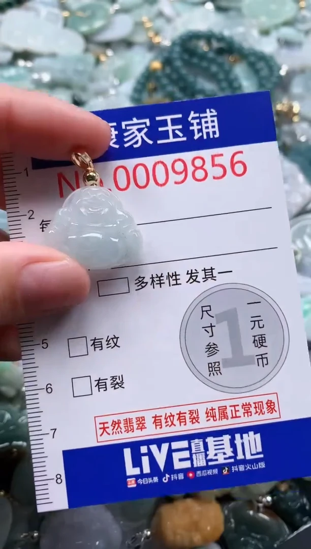 翡翠未镶嵌吊坠(不含链)9856