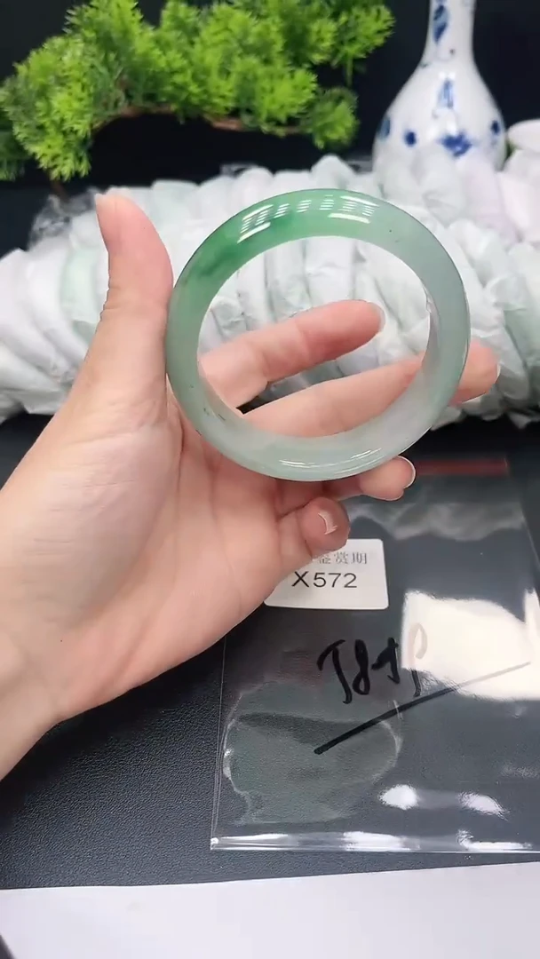 未镶嵌手镯翡翠572