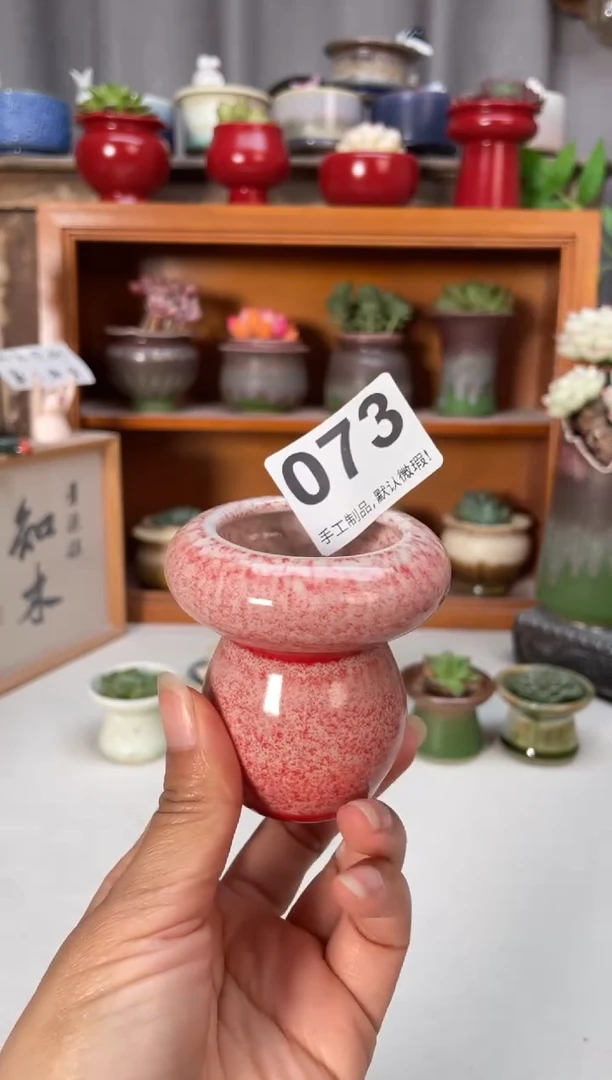 瓷片073小芳花盆直播编号