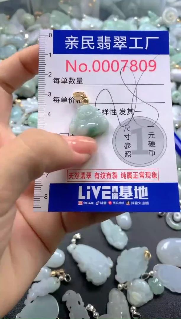 颈饰未镶嵌翡翠7809