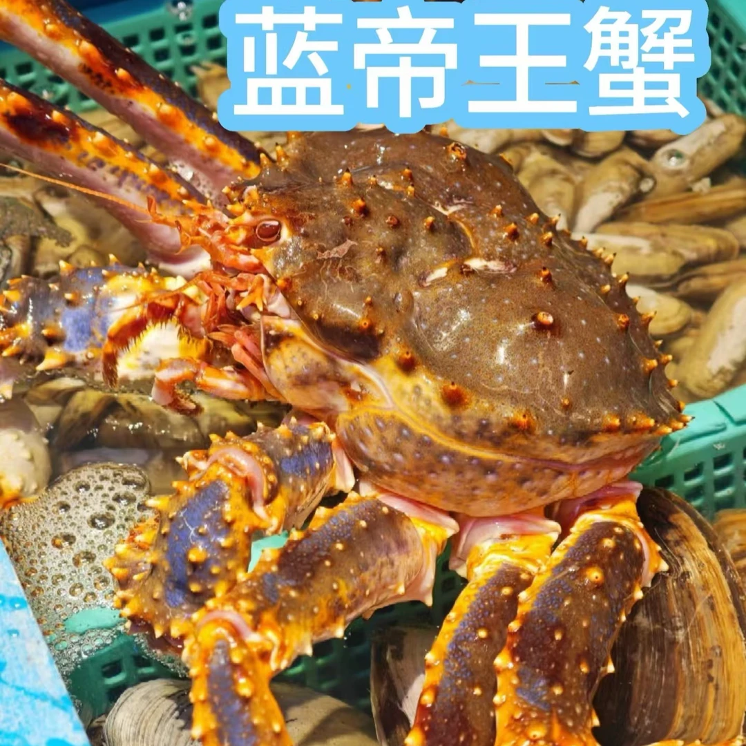 【包鲜不包活】蓝帝王蟹进口高端海鲜 冲氧活发