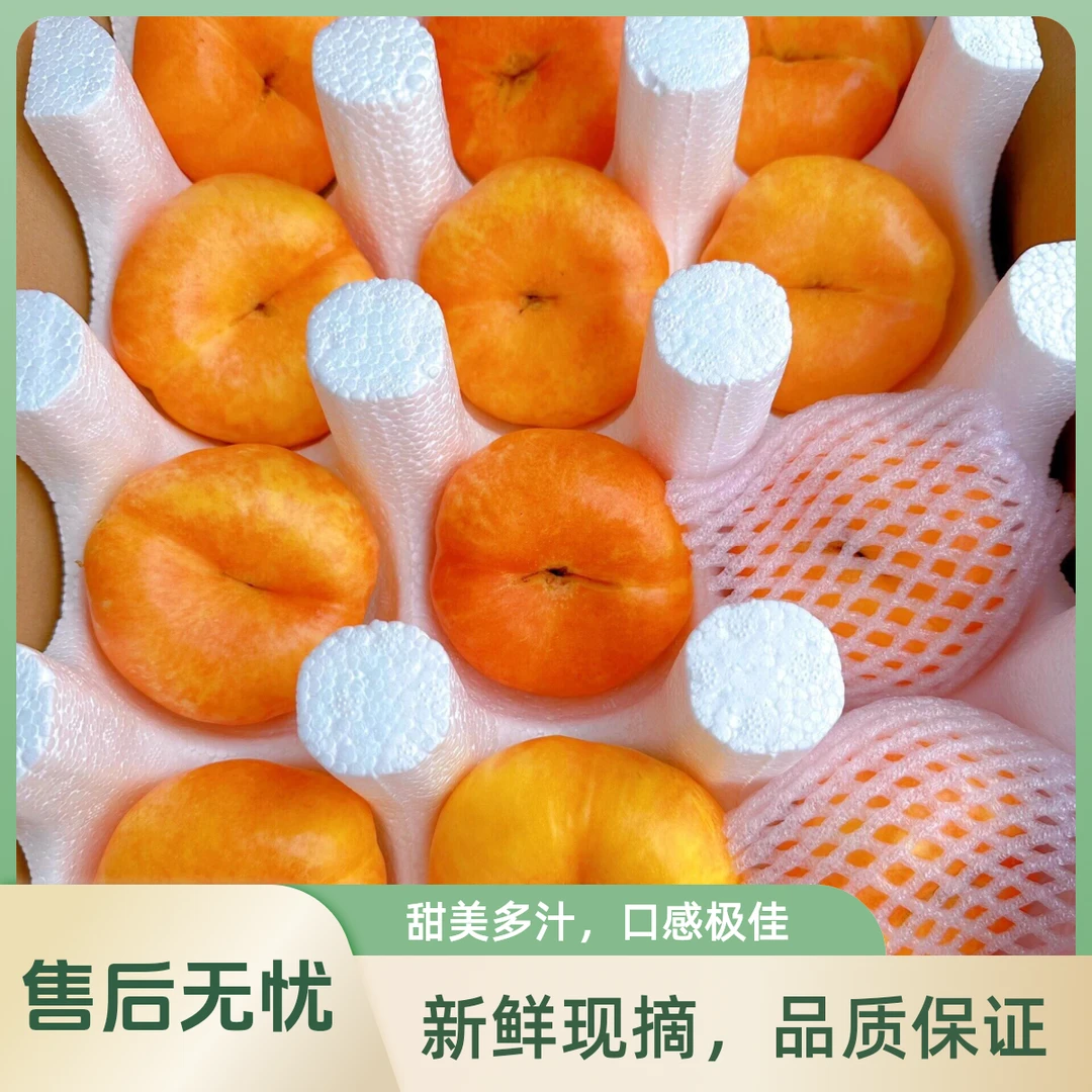 【今天拍明天到】沂蒙山高端彩虹油蟠系列：紫金紫霞 脆软两吃 香甜多汁桃子同城送山东省