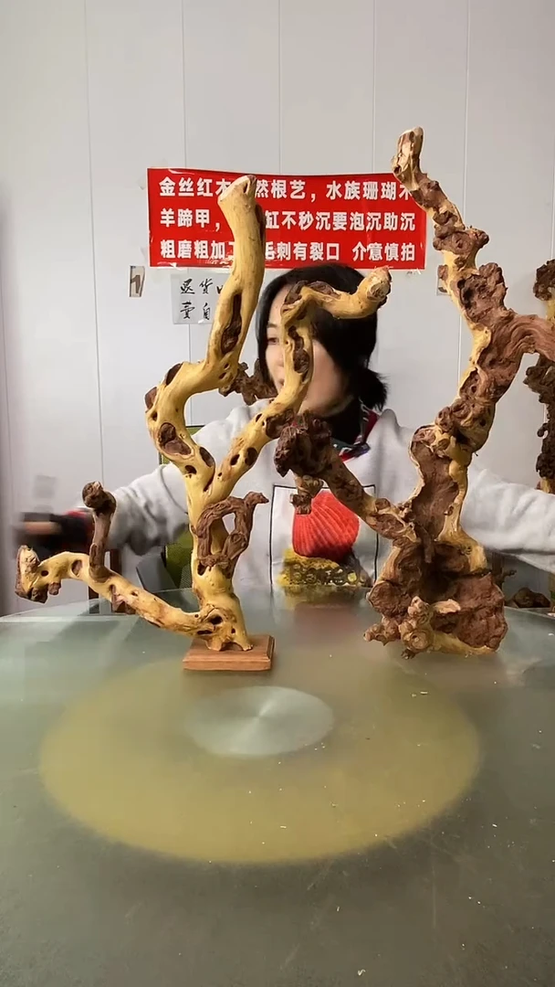 木雅**叔金丝红木  羊蹄甲