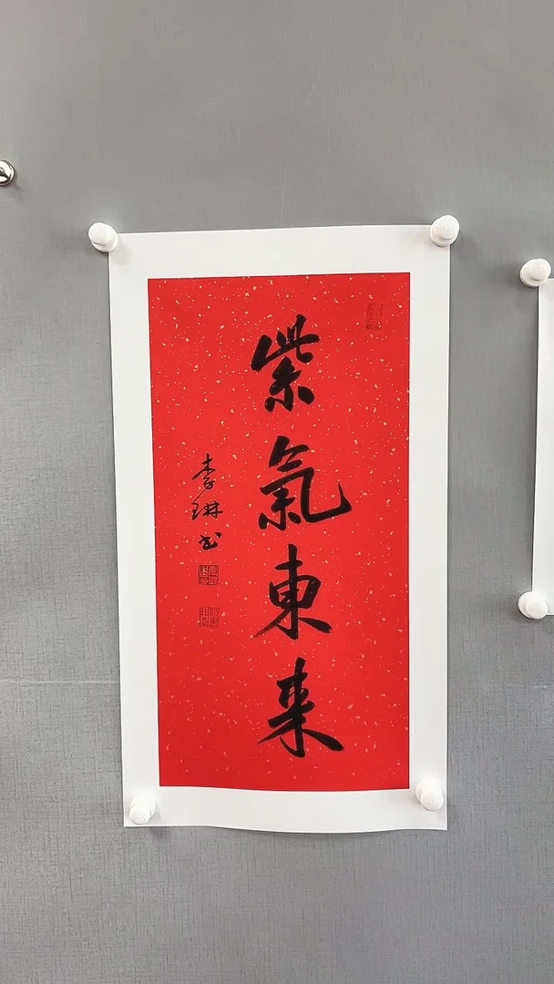 【闪购商品】书法雅艺典藏文化书法