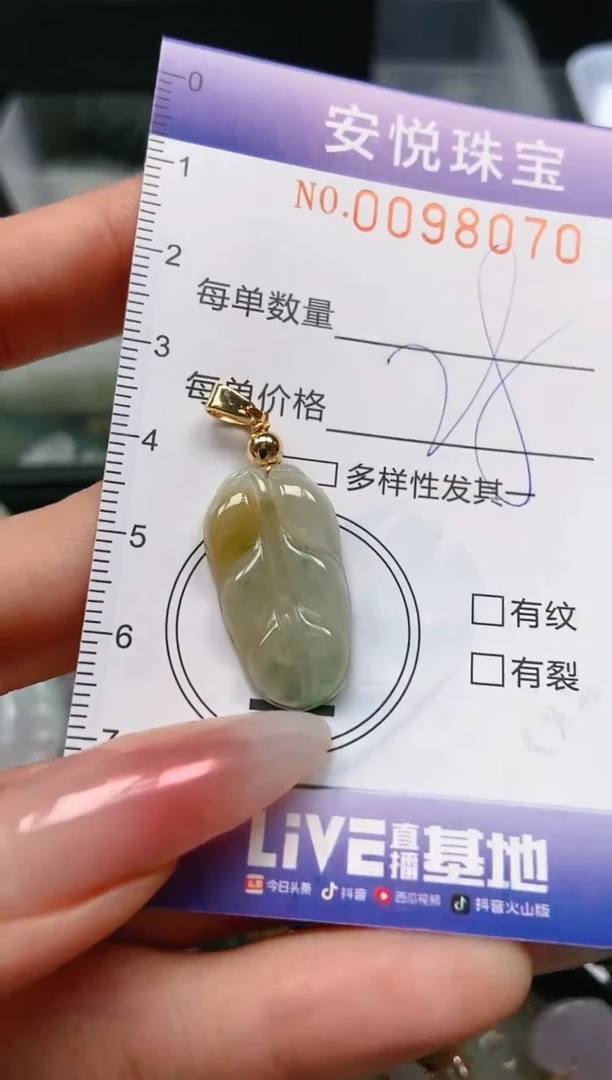 【闪购商品】翡翠颈饰未镶嵌闪购0098070