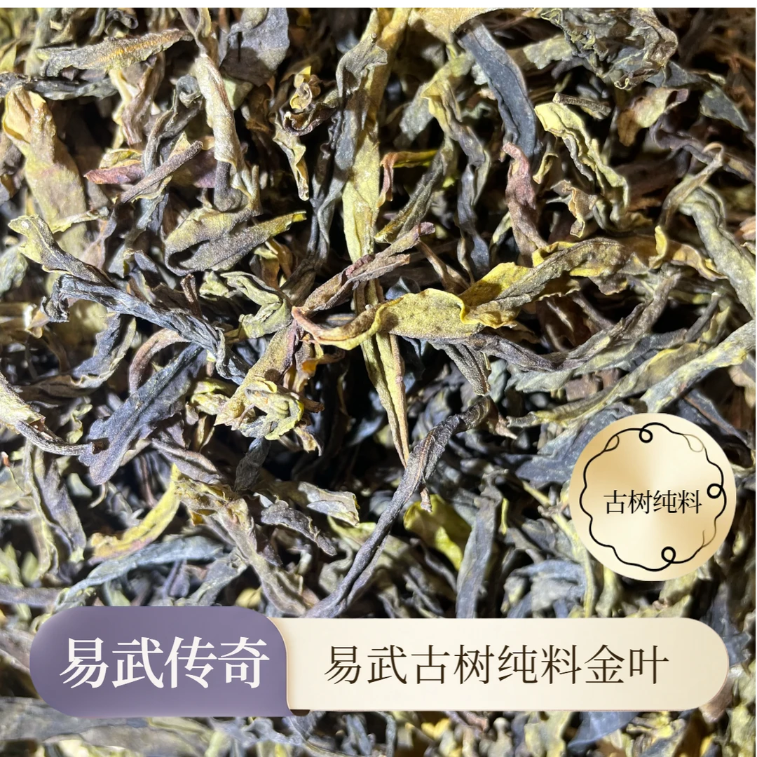 2025年易武传奇古树纯料金叶