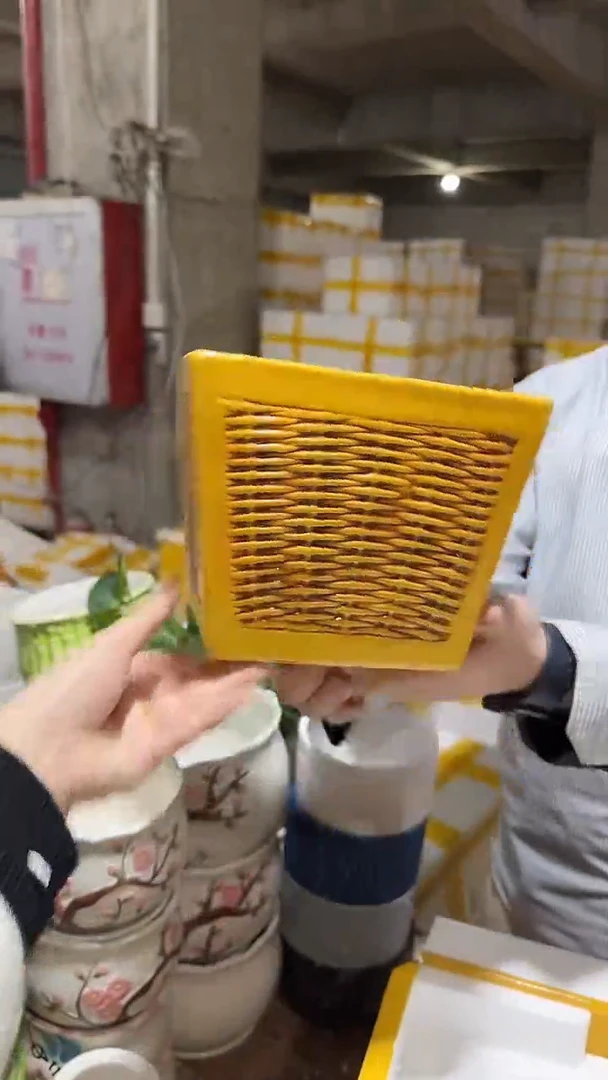 【闪购商品】陶瓷+21-90