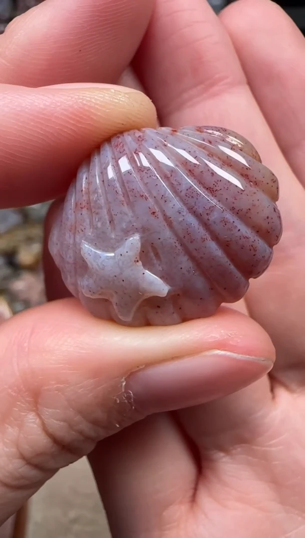 颈饰未镶嵌硅化珊瑚（珊瑚玉）621