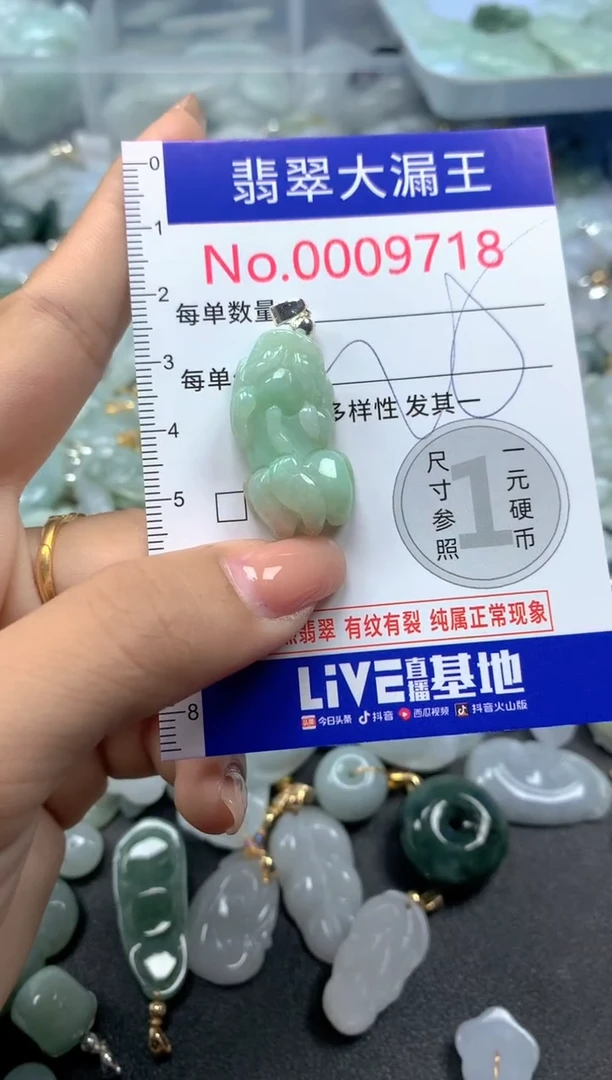 颈饰未镶嵌翡翠9718