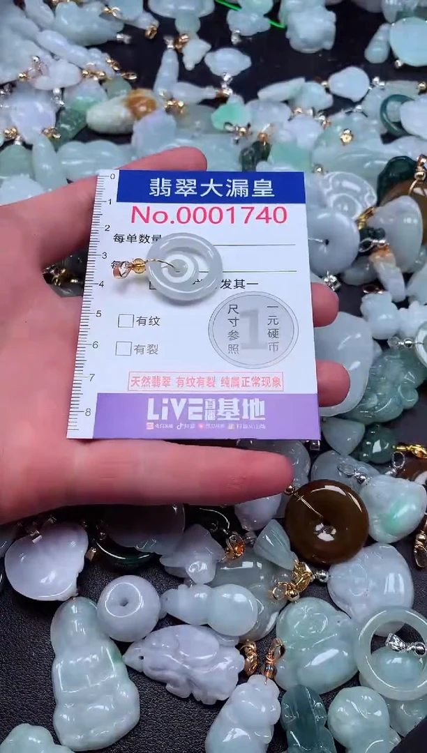 颈饰未镶嵌翡翠1740