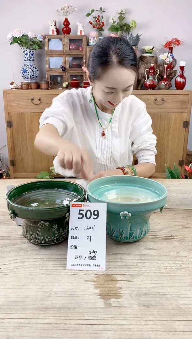 小玩子花盆直播号509