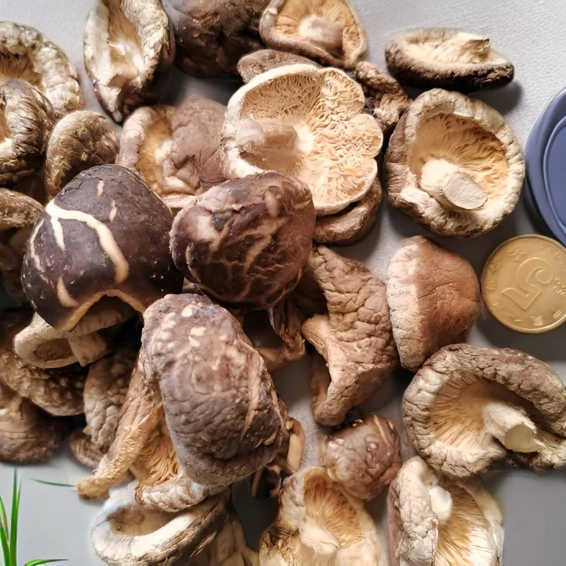 迷你小香菇珍珠菇个小肉厚一口一个美味菌菇