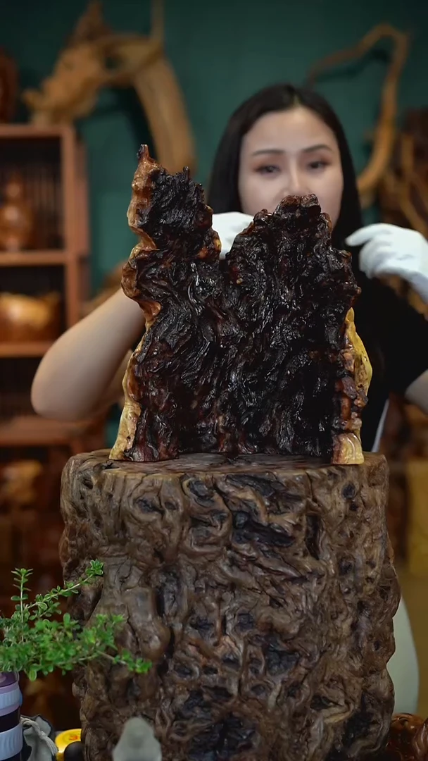 枣木雷击枣木半壁江山