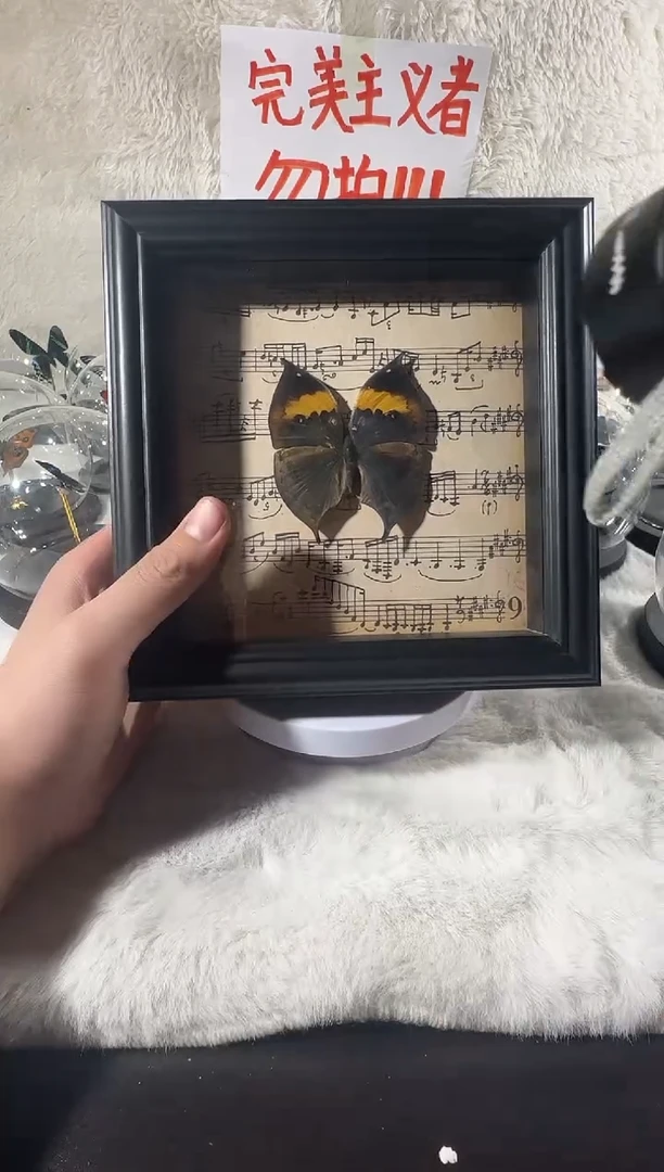 枯叶蛱蝶艺术款