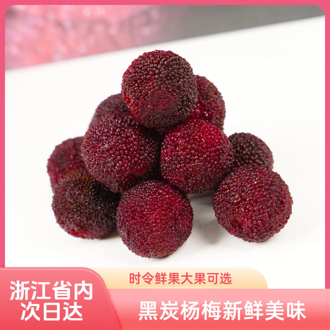 黑炭杨梅新鲜采摘时令新鲜杨梅新鲜发货大果浙江省内次日达