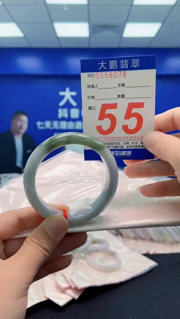 未镶嵌手镯翡翠AAAAAAAAA
