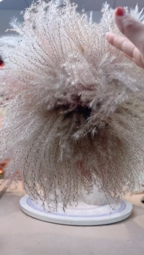 瓶陶瓷花瓶  花 一束芦苇 70支