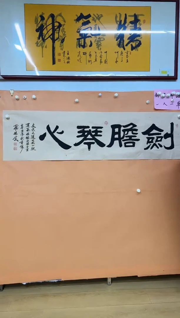 书法剑胆琴心作品罗振民