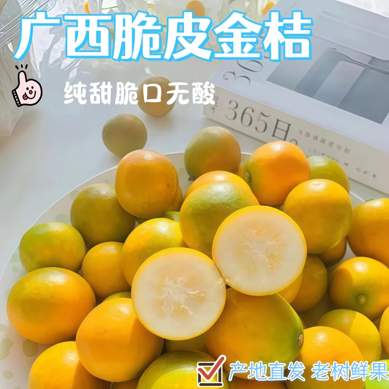 【2斤装】广西融安二代滑皮金桔新鲜当季现摘带皮吃水果