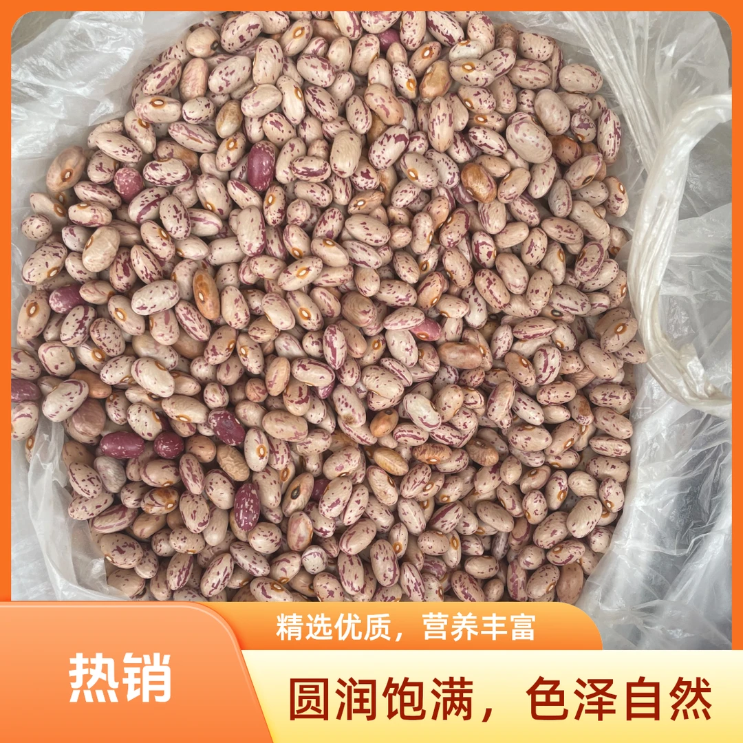 城口县农户自种当年新晒芸豆（麻雀豆）（四季豆米米）