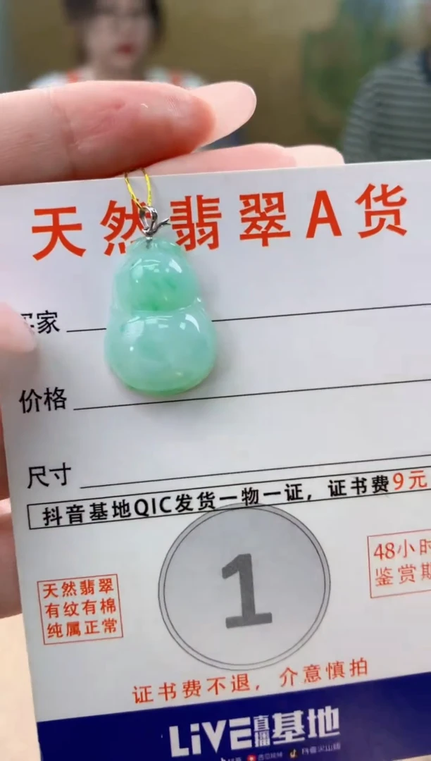 颈饰未镶嵌翡翠天然A货翡翠挂件