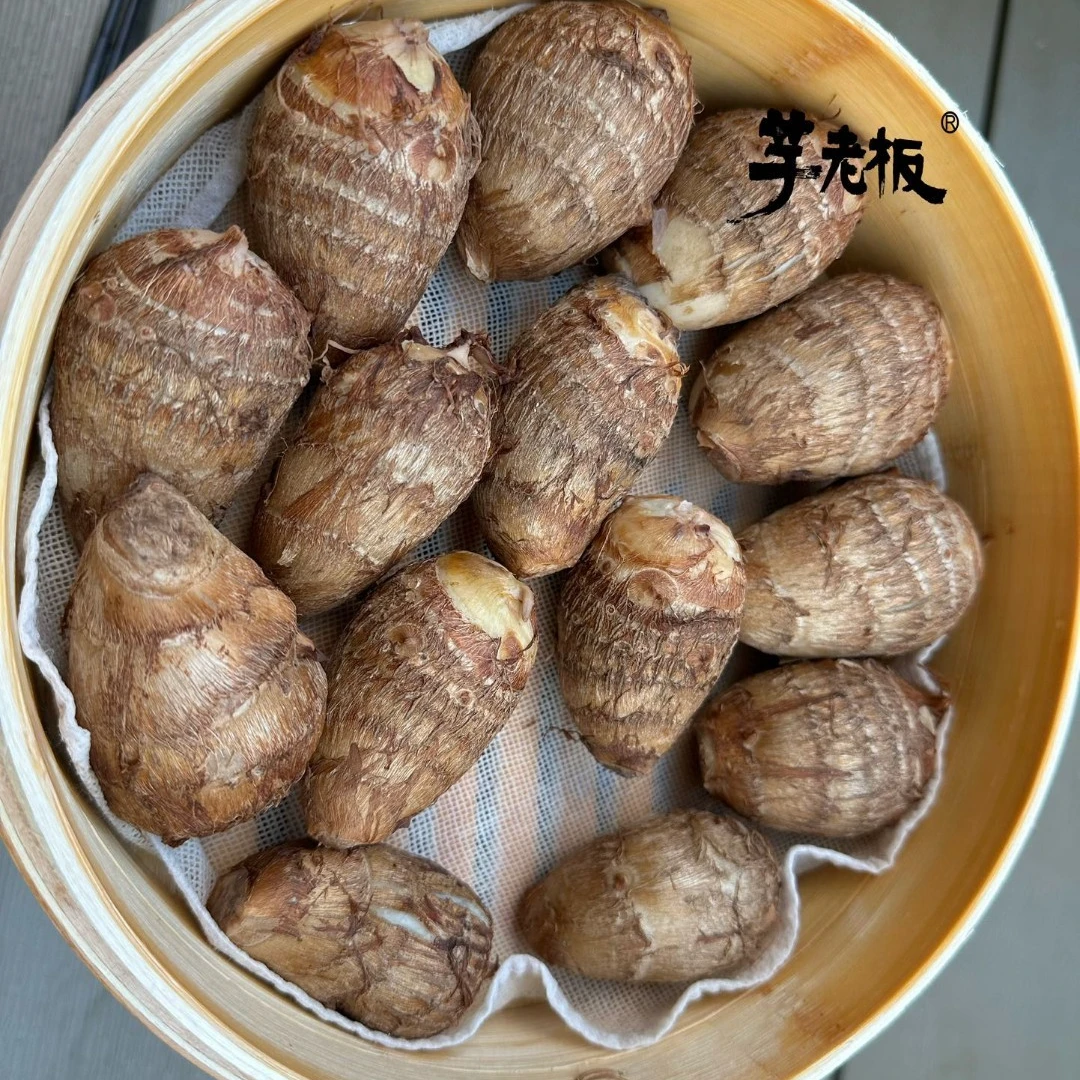 山东沂蒙山生态小奶芋，专属基地，四年直供，生态无污染种植！！