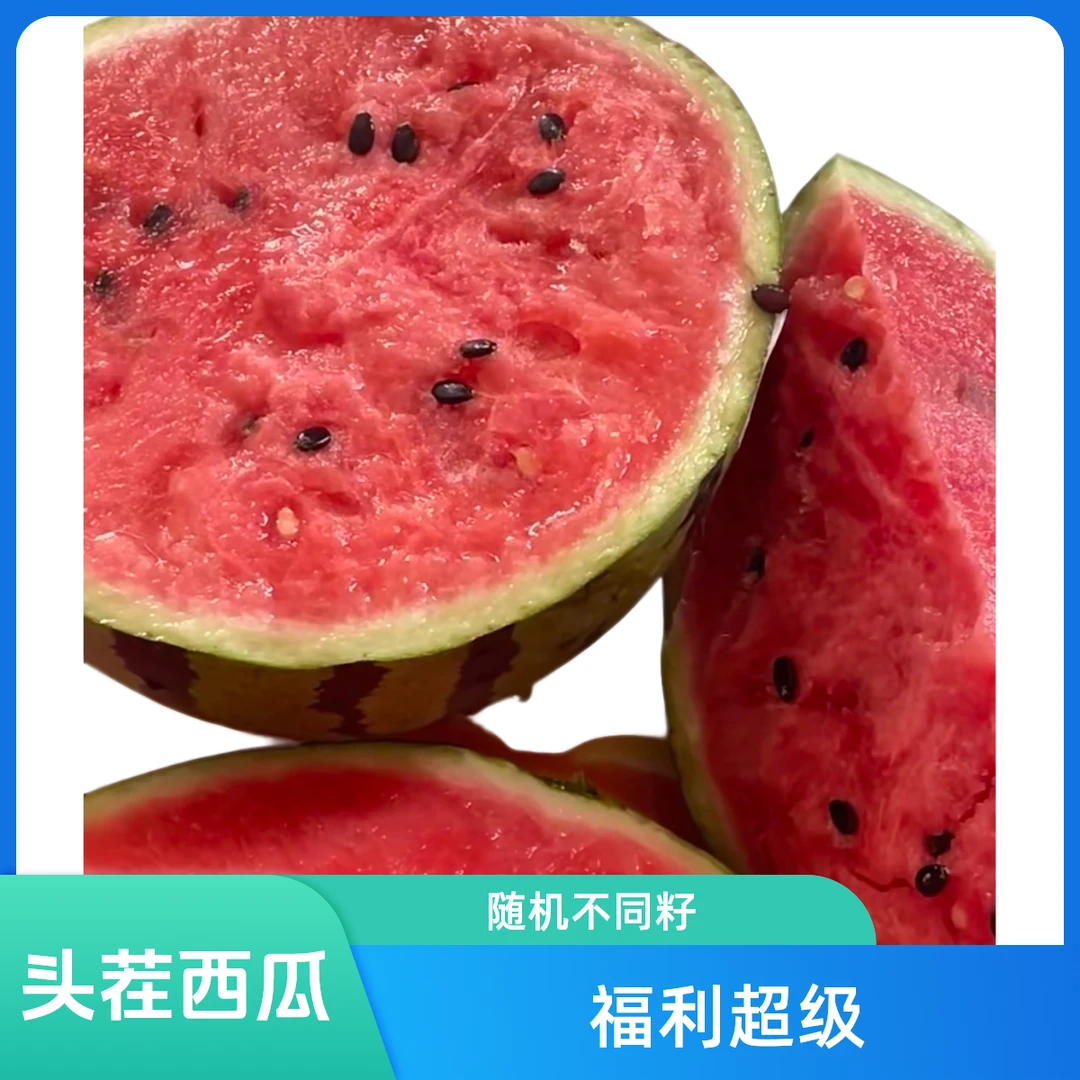 【炸福利】上海头茬8424西瓜超级福利款上海东典西瓜（黑籽西瓜）上海市