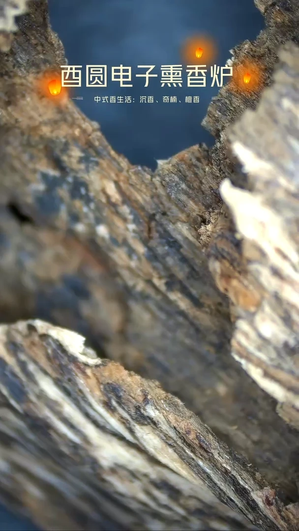 香料越南芽庄虫漏3克 编号17