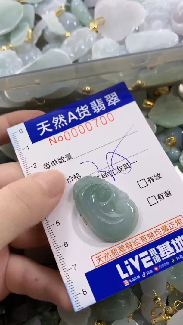 颈饰未镶嵌翡翠天然A货翡翠