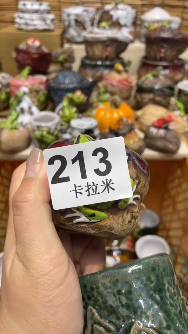 青*志213精美粗陶手工柴烧
