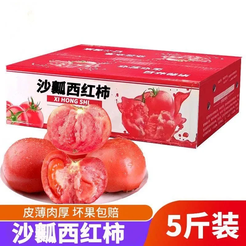 宁夏沙漠沙瓤番茄自然熟新鲜软嫩多汁西红柿水果蔬菜生吃柿子礼盒