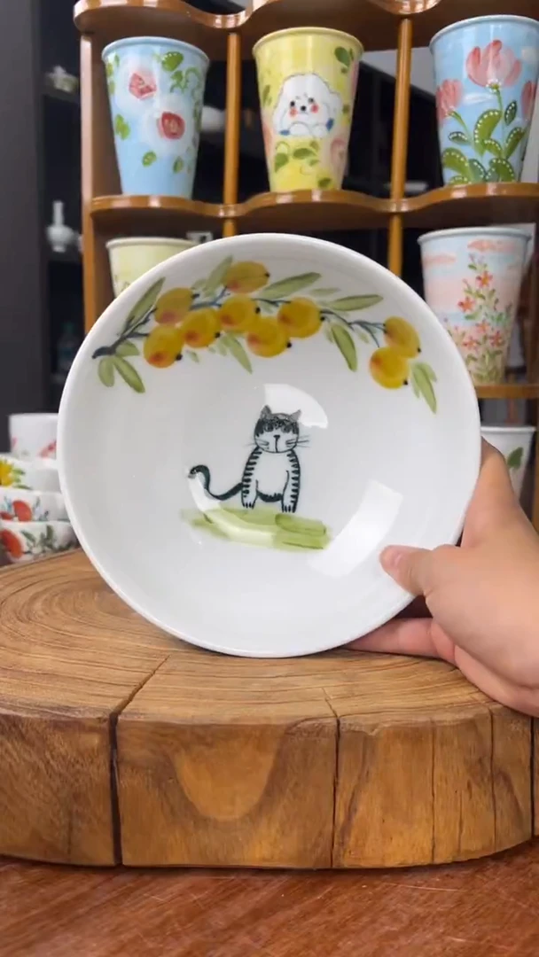 瓷片景德镇手绘釉中彩（食品级）大胖碗