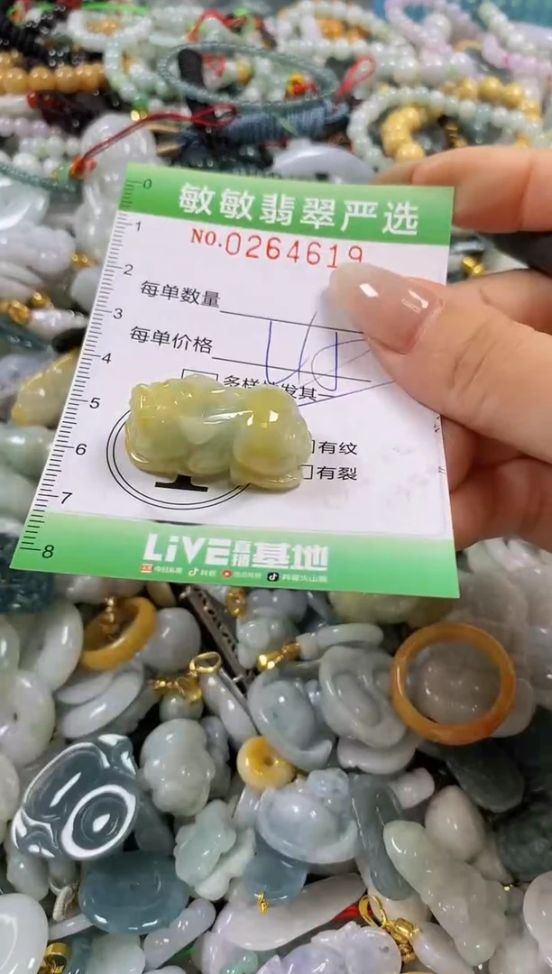 翡翠未镶嵌颈饰闪购0264619