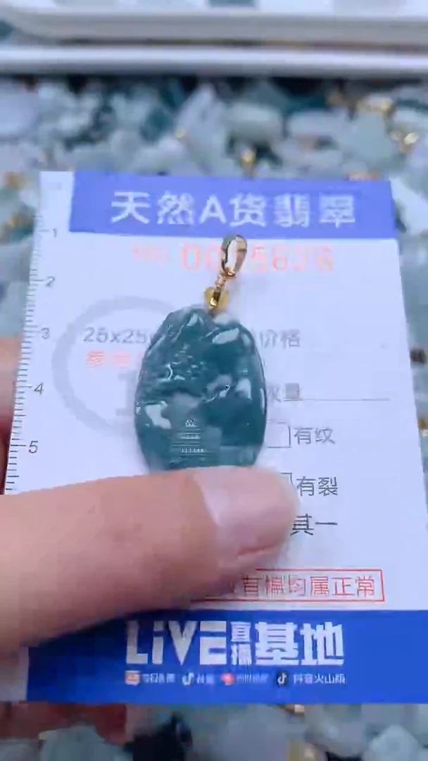 翡翠未镶嵌吊坠(不含链)1