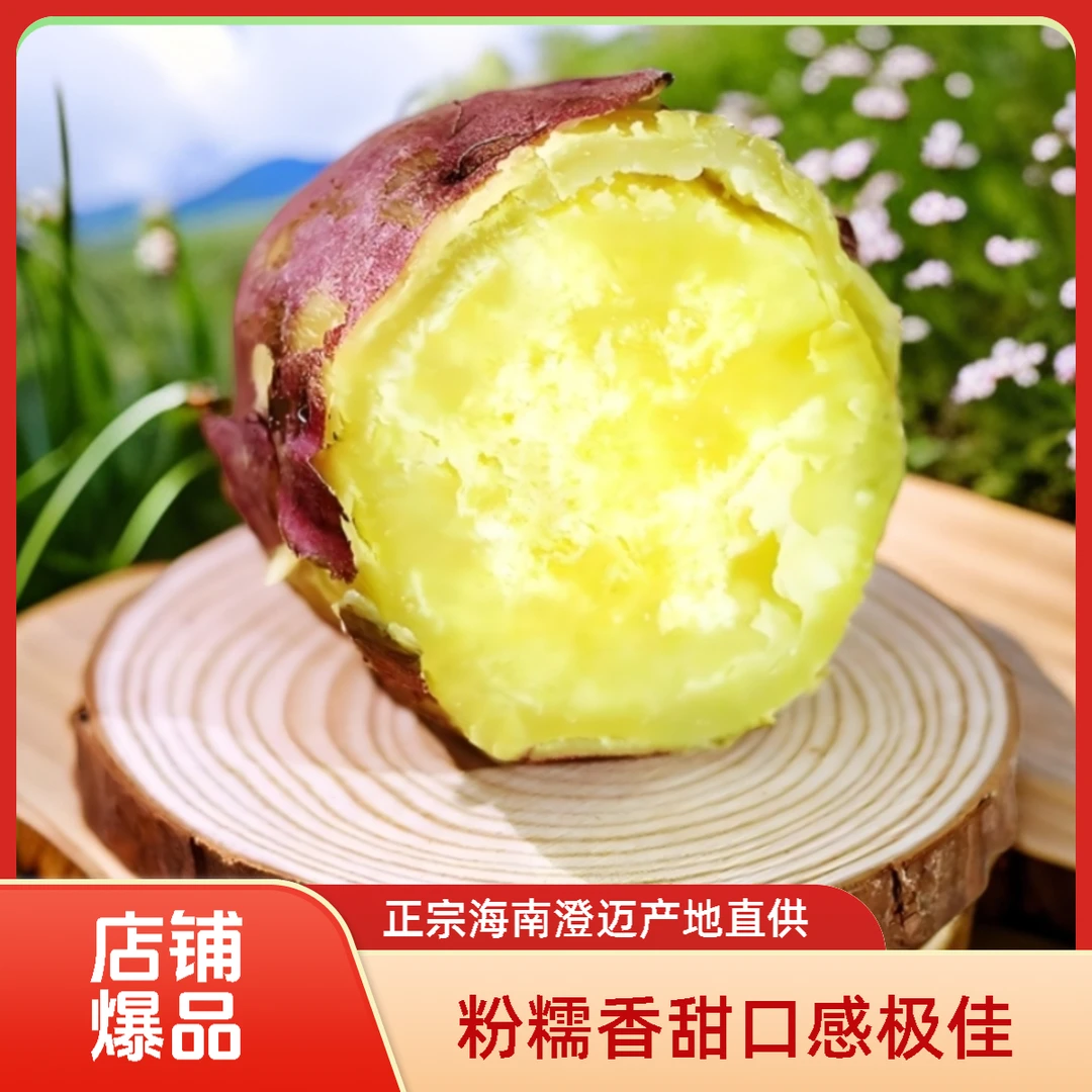 【正宗】海南澄迈桥头沙地批发板栗红薯番薯新鲜现挖软糯香甜做辅食
