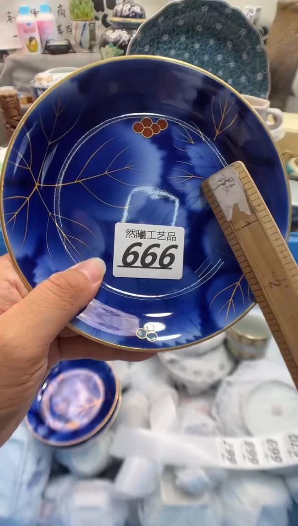 瓷片用****3666