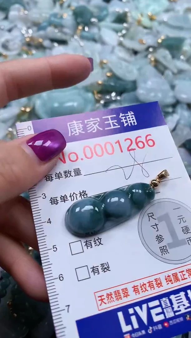 颈饰未镶嵌翡翠1266