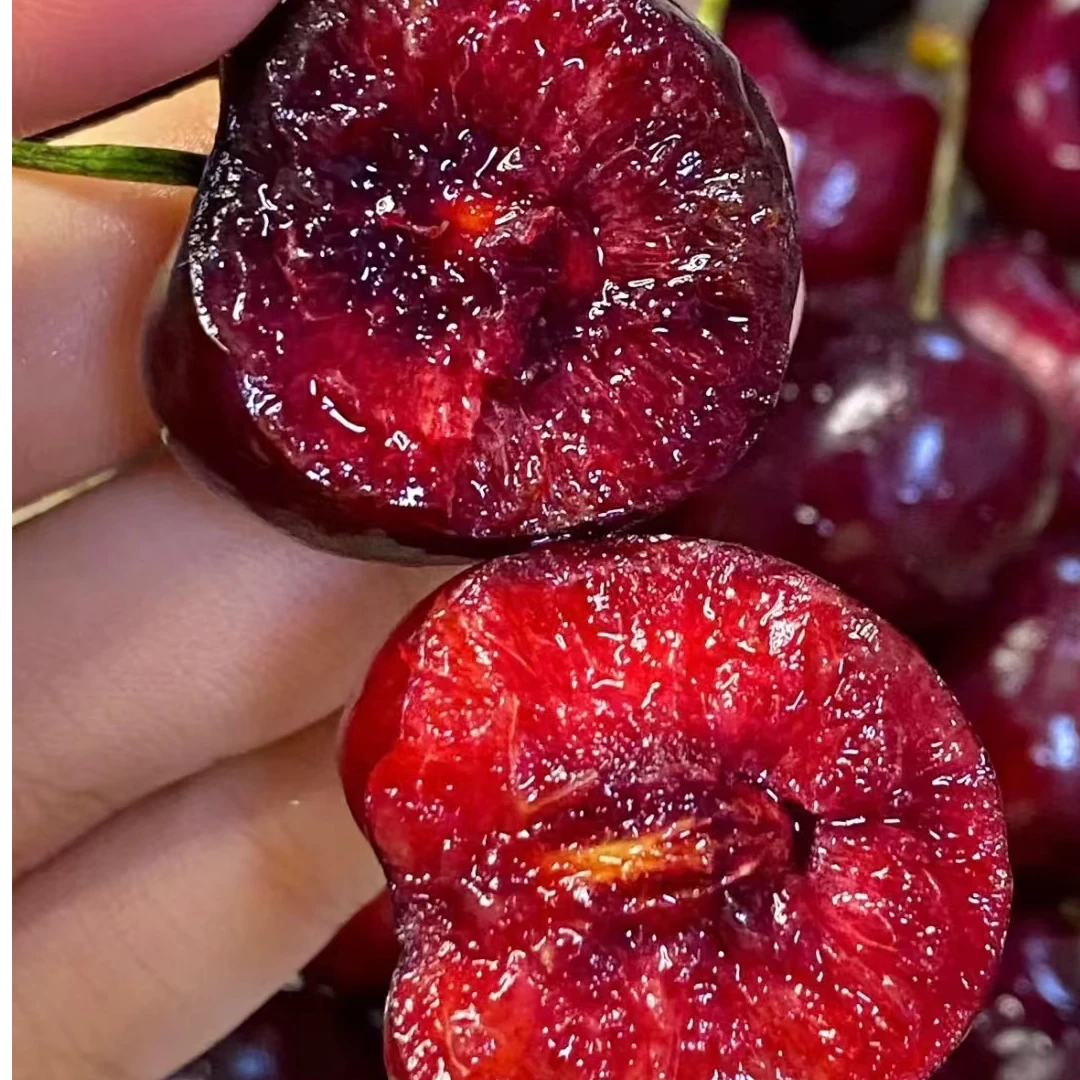 【智利海运车厘子】4JJJJD 5斤装 （内含果径卡）