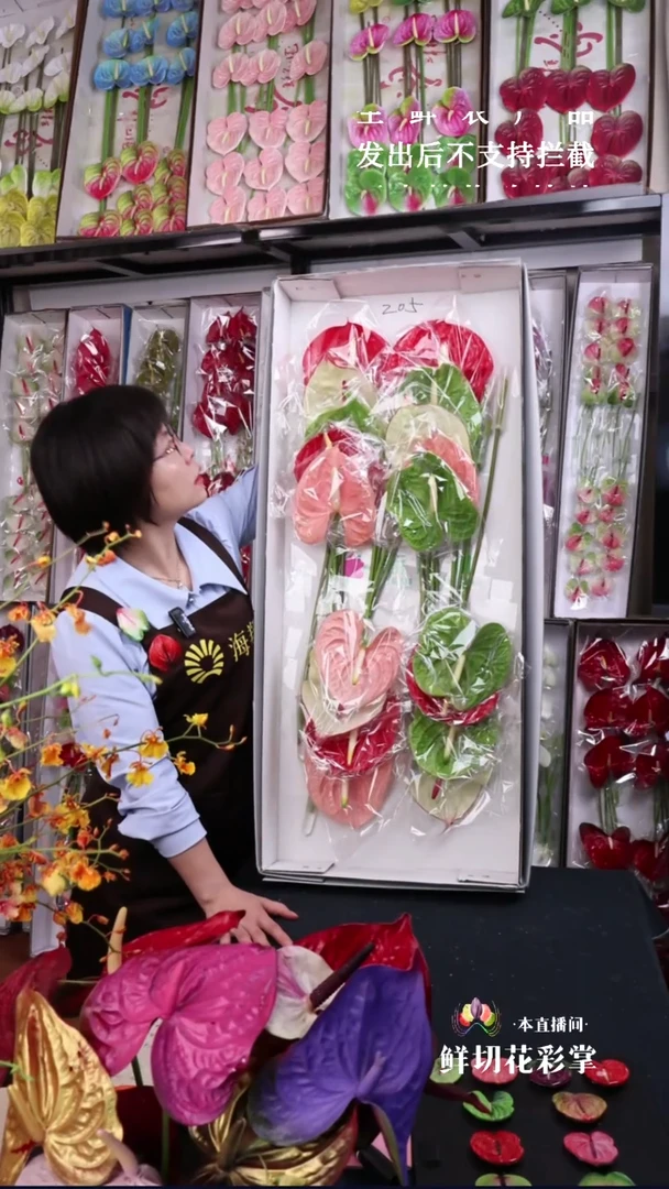 205混色大掌18支,微瑕无售后