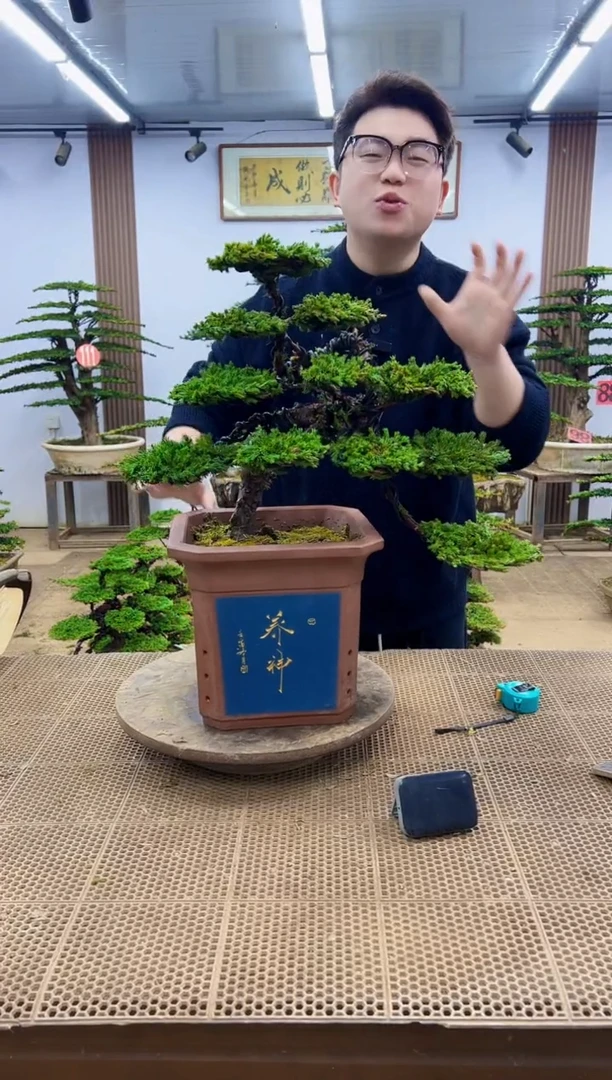 无花朵致****应00000000000