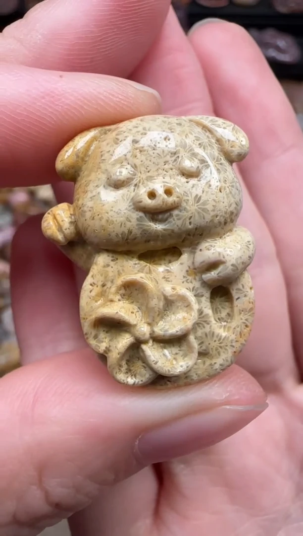 颈饰未镶嵌硅化珊瑚（珊瑚玉）741