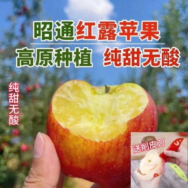 2025云南昭通苹果高山种植红露丑苹果纯甜无酸产地直发整箱包邮