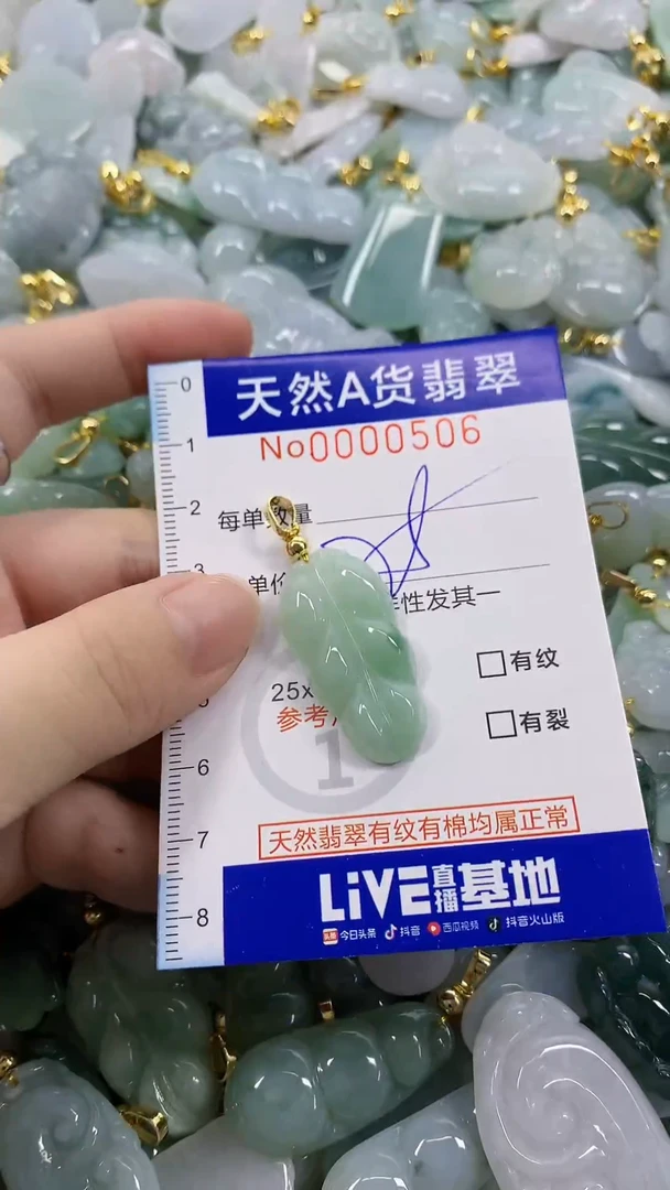 颈饰未镶嵌翡翠天然A货翡翠