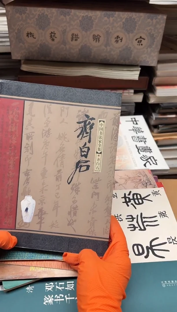 中国书法家全集 齐白石 16开 253页 微瑕 河北教育出版社