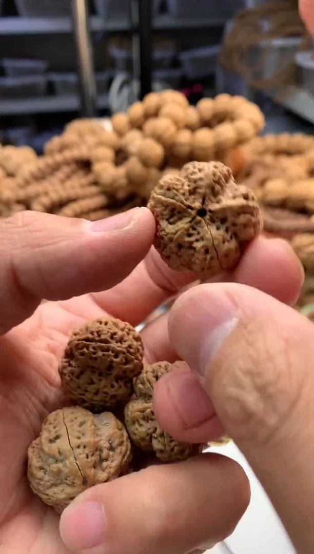 【闪购商品】金刚菩提吊坠2688888888