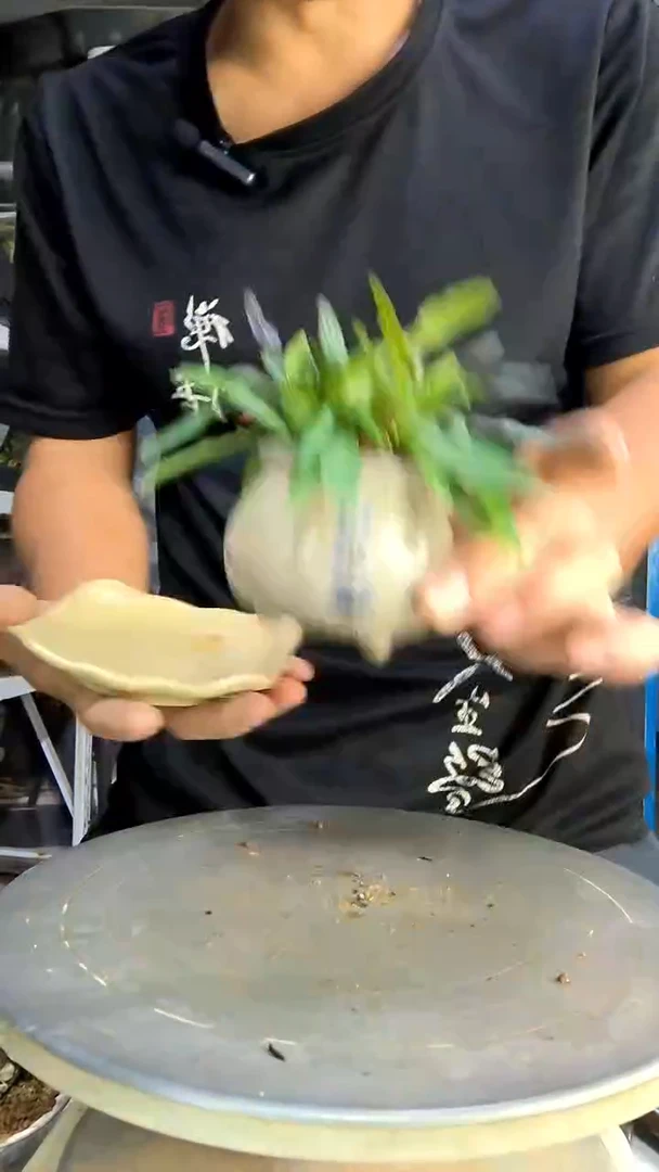 用****3中青园艺一物一拍255