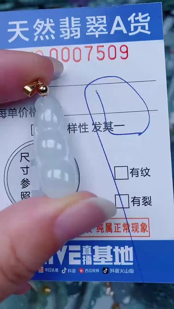 翡翠未镶嵌颈饰00007509
