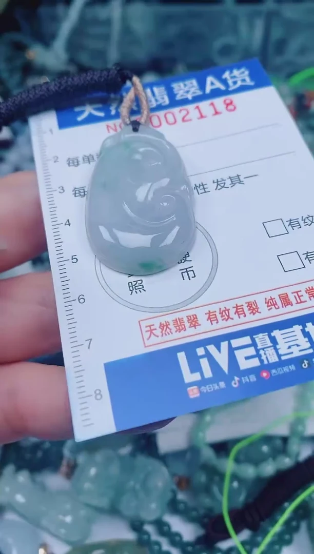颈饰未镶嵌翡翠00002118