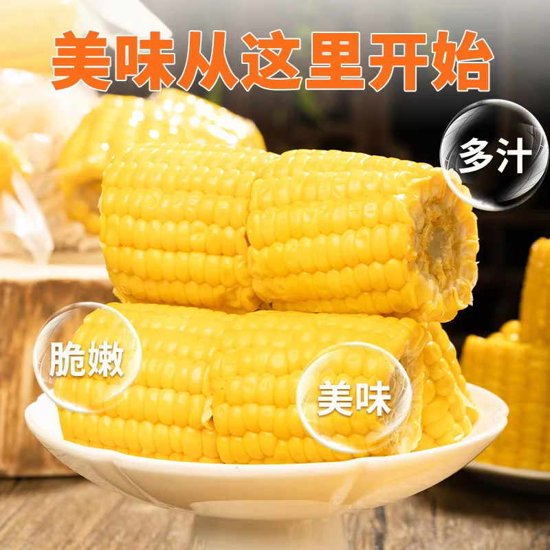 2025年水果玉米段香甜玉米低热量健身必备东北黄玉米12根小段